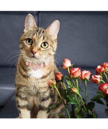 URROMA 2-Piece Adjustable Pearl Collar for Cats & Small Dogs - Stylish Bow Design Necklace - Buy Online on GoSupps.com