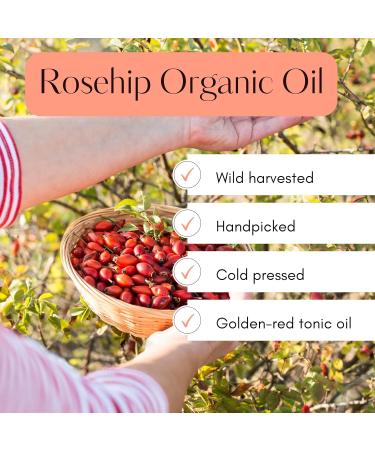 JustGlow Rosehip face oil - Organic facial oil for skin moisturising oil face oil anti-ageing skincare with natural vitamin e oil and vitamin a oil for skin. Bio oil for scar oil and stretch marks - Buy Online on GoSupps.com