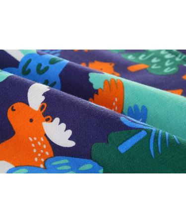 Boys Dinosaur Sweatshirt | Cotton Long Sleeve Pullover | Kids Casual Top T-Shirt | Toddler Girls Shirts | Baby Clothes 1-8 Years | 2-3 Years - Buy Online on GoSupps.com