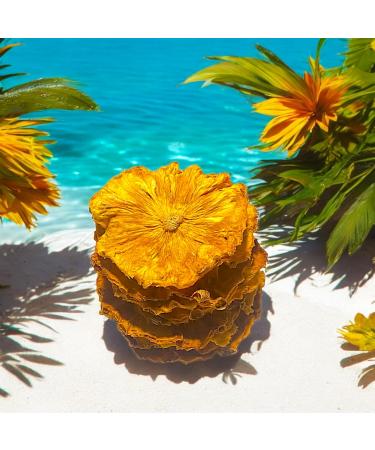  Bertrand 50 g decoration for cocktail pastry or indoors dried pineapple edible cardboard box with window dried pineapple decoration - Buy Online on GoSupps.com