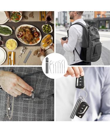 MISFUN 7-Piece Metal Toothpick Set - Reusable Dental Floss Picks Portable Titanium Tooth Cleaning Tools for Camping & Travel - Buy Online on GoSupps.com