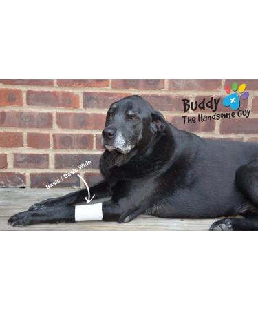 Pawflex Non-Adhesive Disposable Washable Reusable Pet Bandages - Small White (2 Standard, 2 Wide) - Buy Online on GoSupps.com