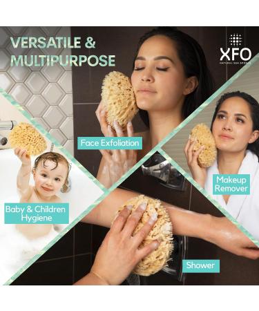XFO Natural Sea Sponge - Medium 5in Wool Sponge for Bathing Showering & Exfoliating | Eco-Friendly Loofah Alternative Sourced from USA - Buy Online on GoSupps.com