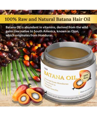 Dr. Sebi Batana Oil - 100% Natural & Organic Hair Growth Oil from Honduras | Enhance Thickness & Prevent Hair Loss for Men & Women - Buy Online on GoSupps.com