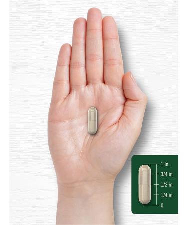Carlyle Olive Leaf Extract Capsules 9000mg | 200 Count Non-GMO Gluten Free | High Potency Formula - Buy Online on GoSupps.com