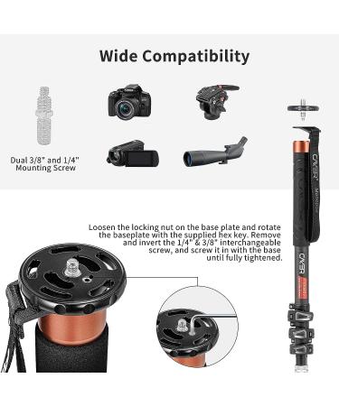 Cayer CF34 Carbon Fiber 71 Video Monopod Kit with Fluid Head and Folding Base - DSLR & Camcorder Telescopic Monopod Set - Buy Online on GoSupps.com
