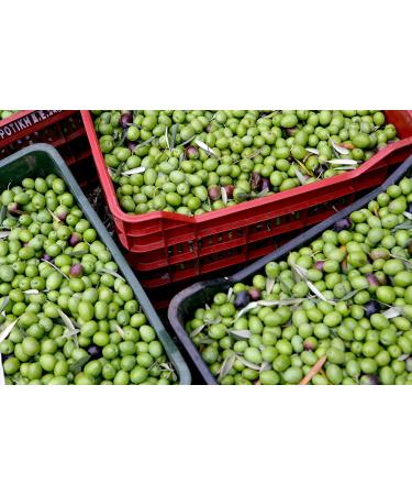 Gaea Gourmet Pitted Kalamata Olives - Marinated, 4.2 oz (120g) | Premium Greek Olives - Buy Online on GoSupps.com