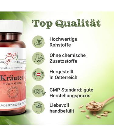 Buy Premium Ginger Tablets 450mg - 105 Vegan Tablets from Austria | Pure Zingiber Officinale | No Additives Herbal Supplement - Buy Online on GoSupps.com