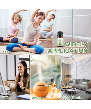 Sedbuwza Vetiver Essential Oil - 100% Pure Organic Aromatherapy Gift Oil for Diffuser, Humidifier, Soap, Candle, Perfume - Buy Online on GoSupps.com