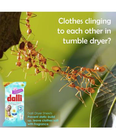 Dalli Dryer Sheets - Fluffy Soft & Freshly Scented Laundry (Pack of 3 25 Sheets) - International Shipping Available - Buy Online on GoSupps.com