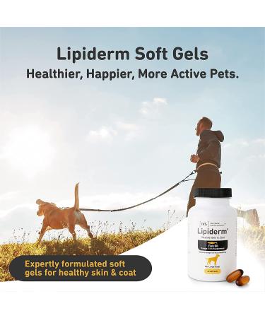 Lipiderm Healthy Skin & Coat for Large Dogs - 60 Soft Gels | International Veterinary Sciences - Buy Online on GoSupps.com