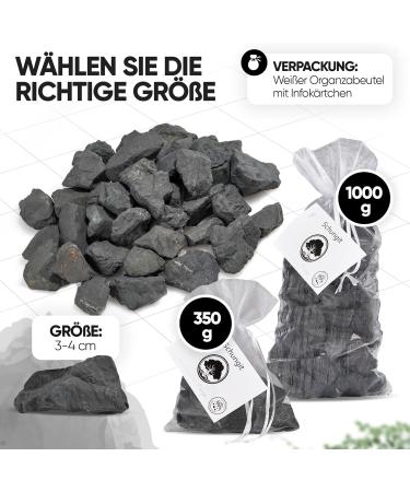 Puraja Schungit Gemstone Set | Natural Premium Raw Stones for Water Healing & Chakra | 1000g Pure Crystal Collection - Buy Online on GoSupps.com