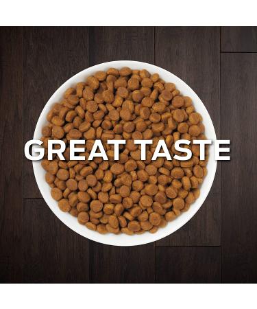 Purina Pro Plan EN Gastroenteric Feline Formula Dry Cat Food 6lb - Veterinary Diets for Digestive Health - Buy Online on GoSupps.com