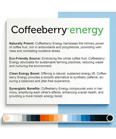 Addy Energy - Focus & Energy Supplement | Adderall Alternative Brain Booster for Sharp Focus & Increased Productivity - 30-Day Supply - Buy Online on GoSupps.com