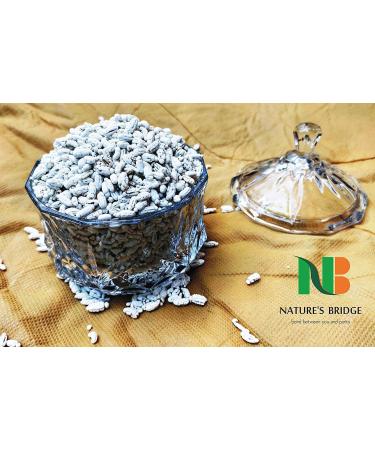 Nature's Bridge Rajasthani Mukhwas Combo Jar Pack of 3 / Madrasi Saunf Shimla Saunf Marwadi Mixture Each 200gm / Mouth Fresheners Combo (200 Gm X 3)_Packing May Vary - Buy Online on GoSupps.com