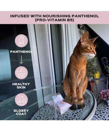 Kotomoda Wet Wipes for Sphynx Cats with Panthenol - Daily Use (1 Pack 15 Pieces) | Order Now for International Shipping - Buy Online on GoSupps.com