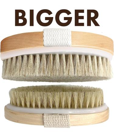 Wet and Dry Body Brush Exfoliator by Scala Beauty | Soft Bristle Brush for Smooth, Radiant Skin - Exfoliates Dead Skin, Reduces Cellulite, Stimulates Blood Flow | 5 x 2.75 in Dry Brush - Buy Online on GoSupps.com