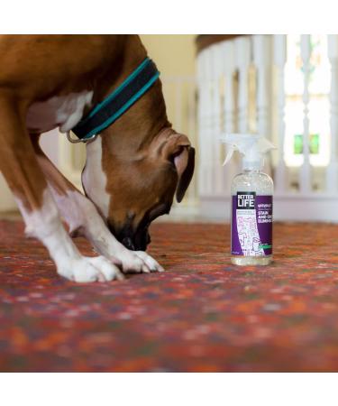 Better Life Natural Stain & Odor Eliminator - 16 oz | Eco-Friendly Cleaning Solution - Buy Online on GoSupps.com