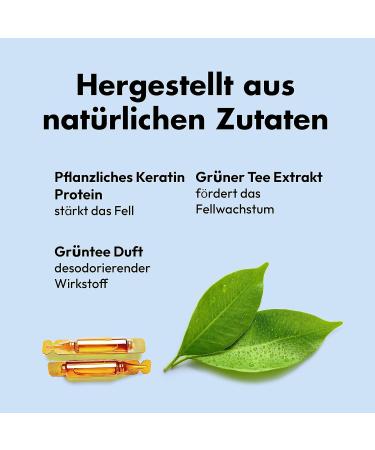 Buy Belly Nourishing Dog Shampoo - Perfect Puppy Shampoo with Keratin & Green Tea | 250ml for Long-Haired Dogs - Fresh Scent & Nourishing Care - Buy Online on GoSupps.com