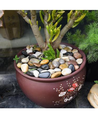 Hisredsun 2.1 lb Natural Polished Pebbles - 0.4-1 inch Decorative Stones for Garden, Aquarium and Vase Fillers - 0.95kg Multi-Use River Rocks - Buy Online on GoSupps.com