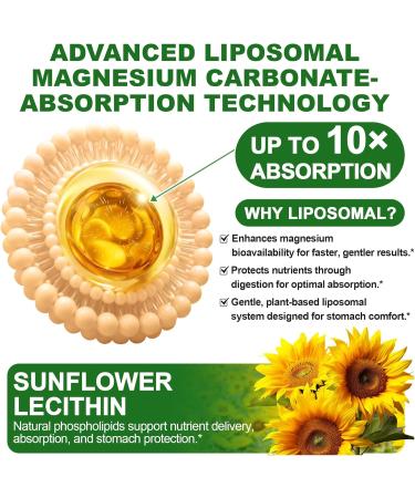 Liposomal Magnesium Carbonate Gummies 500 mg Magnesium Supplement with Ashwagandha, L-Theanine, Calcium & Vitamin D3 for Muscle & Nerve Support, Sugar-Free Vegan Pineapple Flavor (60 Count) 1P 60 Count (Pack of 1) - Buy Online on GoSupps.com