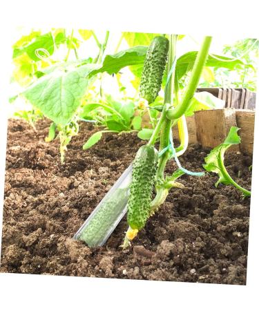Toddmomy 16 Pcs Shaped Growth Mold Fruit Shaping Mold Star Cucumber Shaper Vegetable Shaping Mold Christmas Candy Clear Heart- Shaped Cucumber Growth Forming Star Shape Accessories Plastic As Shownx4pcs mediumx4pcs - Buy Online on GoSupps.com