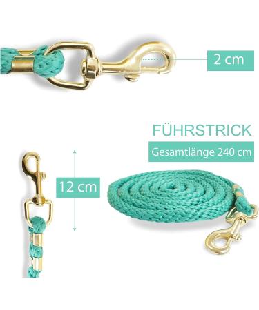 Stylish Lead Rope for Horses | Durable Tie Rope for Ponies Donkeys & Goats - 2x Turquoise Designs - Buy Online on GoSupps.com