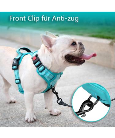 POPOT Reflective Dog Harness - Adjustable Soft Padded Vest for Small Dogs | No Choke Design | MINT Blue (Size S) - Buy Online on GoSupps.com