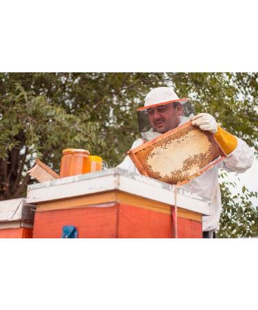 Organic Raw Forest Honey 1000g | Pure Unheated Natural Beekeeping with Pollen & Beeswax - International Shipping Available - Buy Online on GoSupps.com
