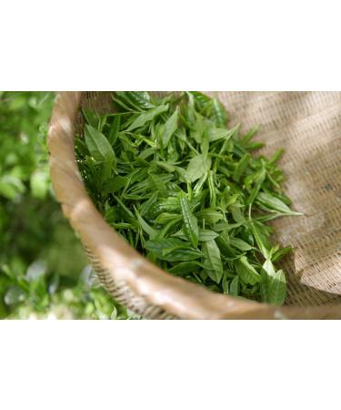  AMA-Feinkost Sencha Flavoured Lime Fragrance (500g) - Buy Online on GoSupps.com
