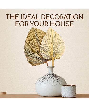 Natural Dried Palm Leaves Decor - Rustic Boho Home Farmhouse Decor - Vase Fillers and Wall Decor Set - Buy Online on GoSupps.com