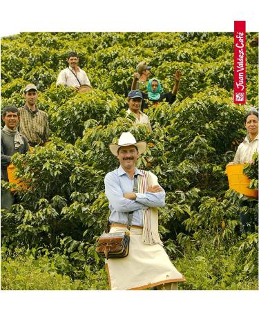 Juan Valdez Cumbre Decaffeinated Coffee | Premium Colombian Coffee | Balanced Roast 340g - Buy Online on GoSupps.com