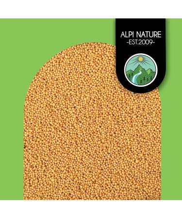 100% Natural Mustard Seeds (250g) - Yellow & White Vegan Additive-Free Gently Dried for International Shipping - Buy Online on GoSupps.com