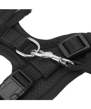 Adjustable Chicken Leash & Cable Rope - Durable Outdoor Dishes for Hens Ducks & Poultry - Buy Online on GoSupps.com