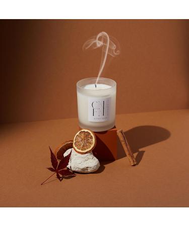 Winter Spice Scented Candle - 100% Coconut Wax - Cozy Season & Christmas Decor - 7oz Cinnamon Candle for Home - 40 Hrs Burn Time - Buy Online on GoSupps.com