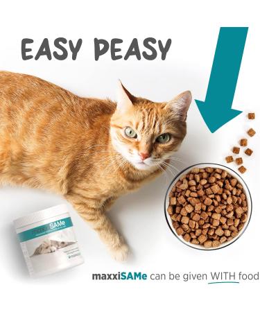 maxxipaws maxxiSAMe Advanced SAM-e Liver and Cognitive Supplement for Cats Given with Food Powder 90 g 90 count (Pack of 1) - Buy Online on GoSupps.com