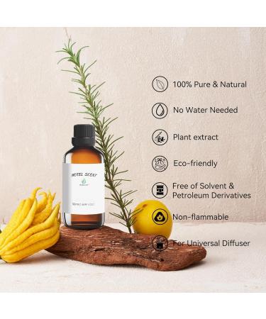 Serenity Meadows & Sweet Serenade Hotel Scents - Luxury Aroma Diffuser Oil 1.69 Fl Oz (50ml) | Top 2 Aromatherapy Oils for Home & Hotels - Buy Online on GoSupps.com