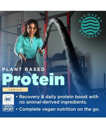 Gnarly Nutrition Performance Greens Blueberry A ai (11.64 oz) and Gnarly Vegan Plant Protein Meal Replacement - Vanilla (28.2oz) - Buy Online on GoSupps.com