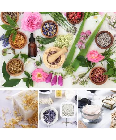 12 Bag Natural Dried Flowers Herbs Kit - Bulk Dry for Soap Making, DIY Candle, Resin Jewelry, Decor or Bath - Lavender, Rose Petals, Jasmine, Rosebuds, Lily, Lemon & More - Buy Online on GoSupps.com