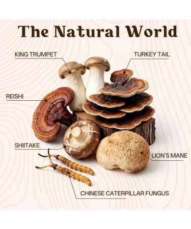 Instant Mushroom Coffee with Lions Mane & Cordyceps - Focus & Energy Support Immune & Cognitive Boost Low Caffeine Natural Coffee Alternative Powder - Buy Online on GoSupps.com