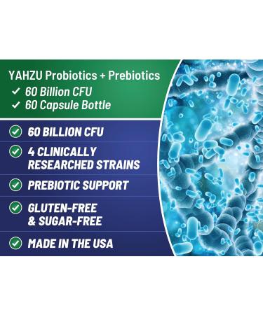 Organic Synbiotic Probiotics 60B CFU with probiotics for Digestive Health Advanced Gut & Immune Support | Bloating Relief Digestive Balance | 60 Vegan Capsules | Sugar-Free Gluten-Free Non-GMO - Buy Online on GoSupps.com