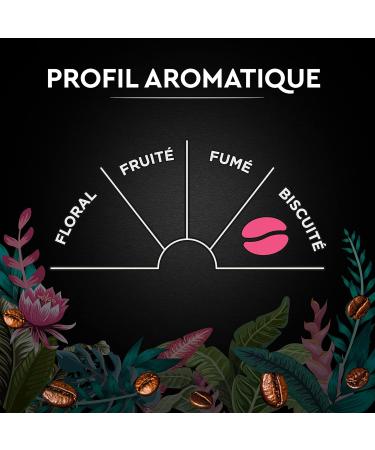 BLACK CARD - Coffee Bean Carte Noir "Secrets de Nature" - Congusta & Mundo Novo - Rainforest Alliance Certified - Pack of 1 k - Buy Online on GoSupps.com