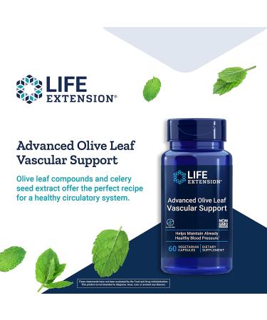 Life Extension Olive Leaf Vascular Support - Cardiovascular & Circulatory Health - 60 Capsules (Gluten-Free, Non-GMO, Vegetarian) - Buy Online on GoSupps.com