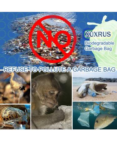XUXRUS 10 Litres Compost Bags Small Garbage Bags Biodegradable 3 Gallon Trash Bags 100 Counts Green Bin Bags for Bathroom Bedroom Office 24 count (Pack of 5) - Buy Online on GoSupps.com