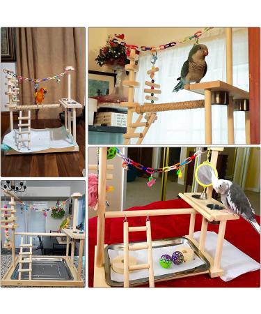 QBLEEV Parrot Playstand with Feeder Cups and Toys - Large Size (19 L x 13 W x 21 H) - Buy Online on GoSupps.com