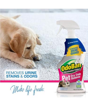 OdoBan Pet Solutions Oxy Stain Remover Pet Stain Eliminator 32 Ounce Spray - Buy Online on GoSupps.com