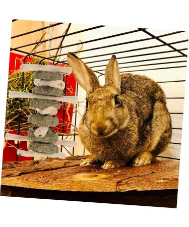 BESPORTBLE Rabbit Chew Snack for Teeth Parrots Biting Playthings Small Pet Chew Snack - Buy Online on GoSupps.com