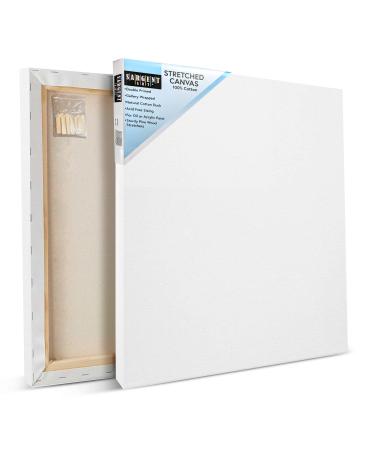 Sargent Art 20 x 20 inch Stretched Canvas  Blank White Canvases  Double Acrylic Titanium Priming  Perfect for Acrylic  Oil  and Art Projects  Acrylic Pouring & Wet Media