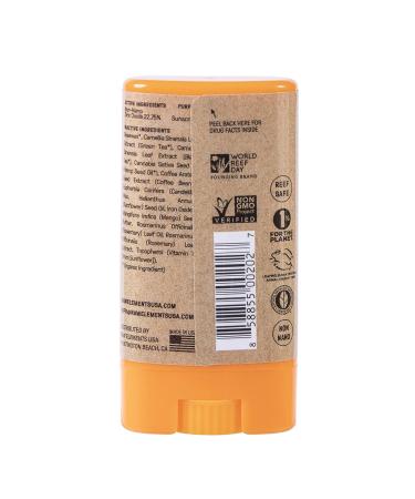 Raw Elements Tinted Face Stick SPF 30+ | Natural Mineral Sunscreen with Non-Nano Zinc Oxide | Reef Safe, Non-GMO, Cruelty Free | 95% Organic, Very Water Resistant | Moisturizing | All Ages Safe | 0.5oz - Buy Online on GoSupps.com