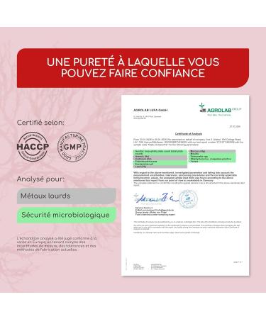 Astaxanthine Pure V gane - 80 mg ( quivalent 8 mg d astaxanthine) de l algue Haematococcus pluvialis - 180 G lules : Cure de 6 mois - Concentration & Biodisponibilit lev es - Buy Online on GoSupps.com